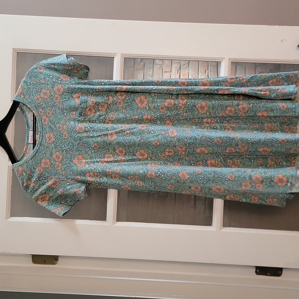 LuLaRoe XXS Carly Dress